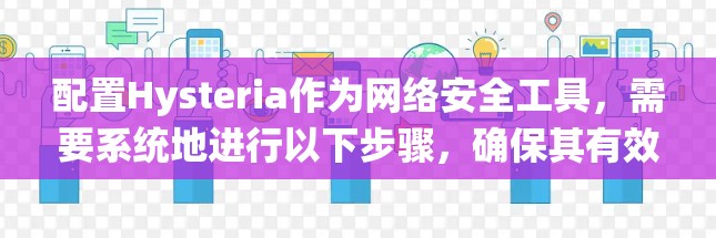 配置Hysteria作为网络安全工具,需要系统地进行以下步骤,确保其有效防御DDoS攻击