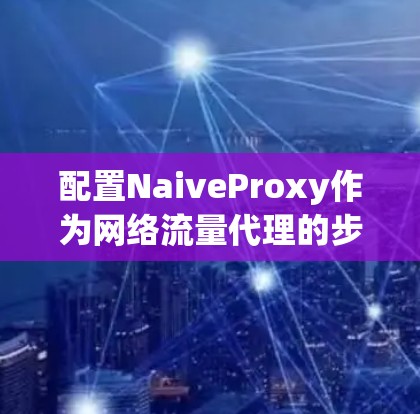 配置NaiveProxy作为网络流量代理的步骤如下