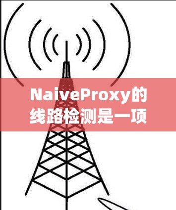 NaiveProxy的线路检测是一项关键的网络管理功能，用于确保网络连接的稳定性和可靠性。以下是对该功能的详细分析