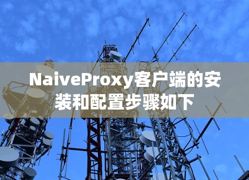 NaiveProxy客户端的安装和配置步骤如下