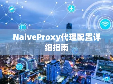 NaiveProxy代理配置详细指南