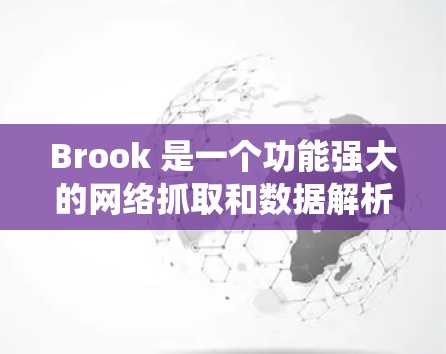 Brook 是一个功能强大的网络抓取和数据解析工具，常用于爬虫、数据采集等场景。以下是一些关于 Brook 客户端使用教程的关键点和步骤