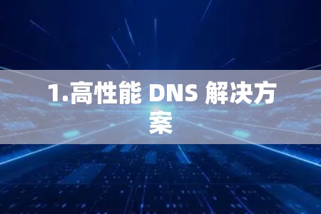 1.高性能 DNS 解决方案