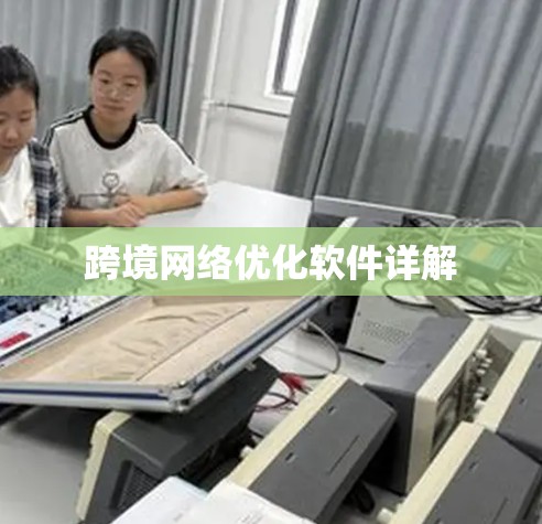 跨境网络优化软件详解
