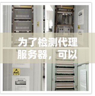 为了检测代理服务器，可以选择以下工具，并根据需求进行配置和使用
