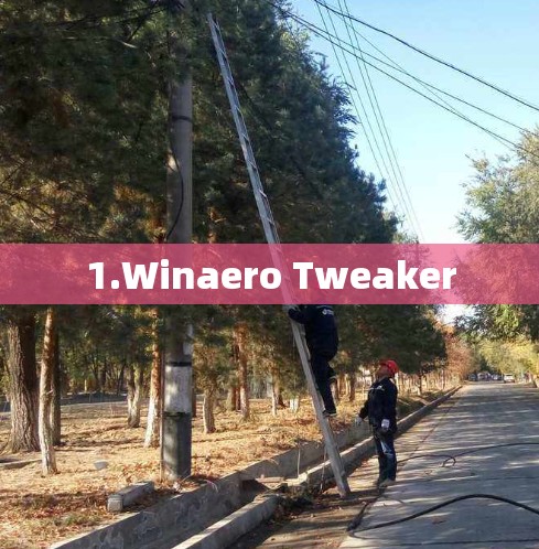 1.Winaero Tweaker