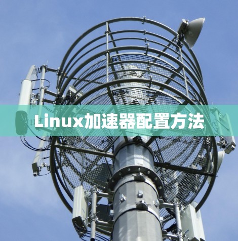 Linux加速器配置方法