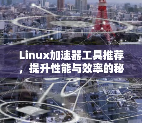 Linux加速器工具推荐,提升性能与效率的秘籍