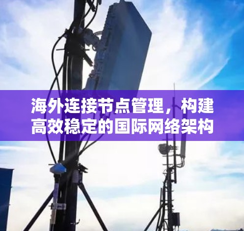 海外连接节点管理,构建高效稳定的国际网络架构