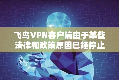 飞鸟VPN客户端由于某些法律和政策原因已经停止服务,无法再提供服务了。如果你需要使用VPN,以下是一些替代方案,供你选择