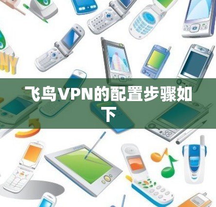 飞鸟VPN的配置步骤如下 飞鸟VPN的配置步骤如下