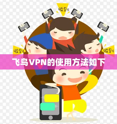 飞鸟VPN的使用方法如下