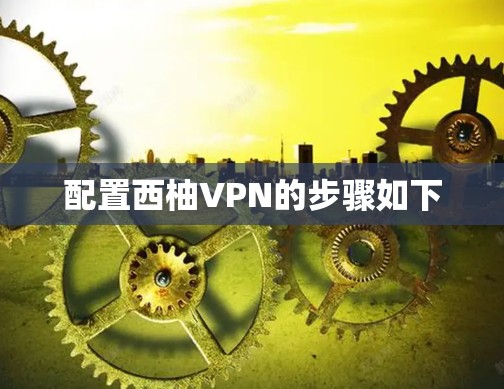 配置西柚VPN的步骤如下