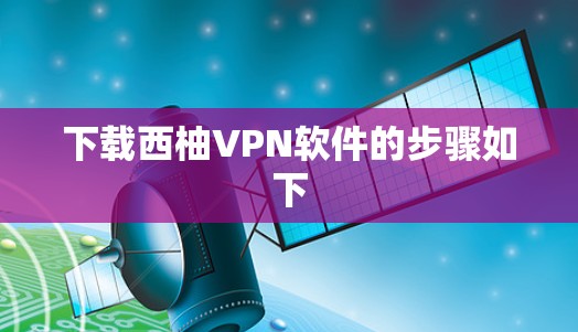 下载西柚VPN软件的步骤如下