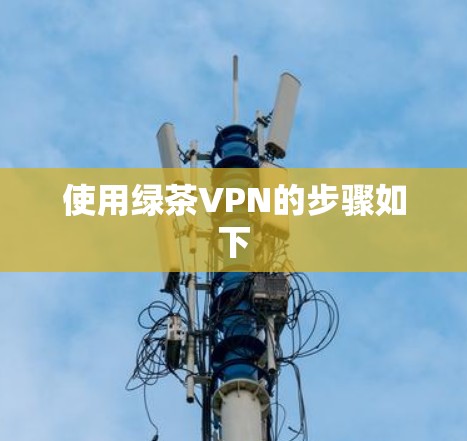 使用绿茶VPN的步骤如下