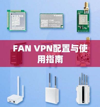 FAN VPN配置与使用指南