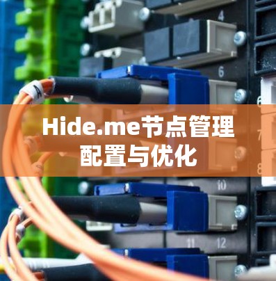 Hide.me节点管理配置与优化