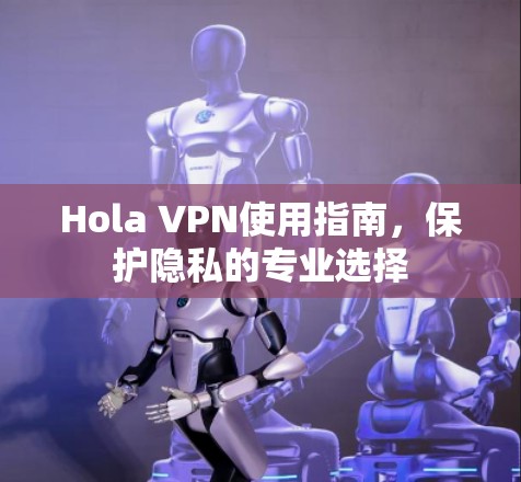 Hola VPN使用指南,保护隐私的专业选择