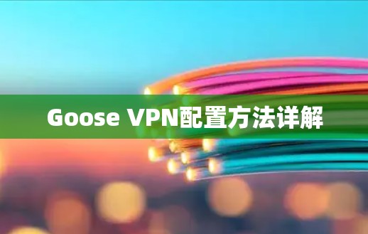Goose VPN配置方法详解