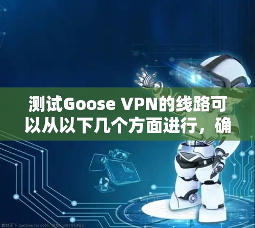 测试Goose VPN的线路可以从以下几个方面进行,确保其速度、稳定性和安全性