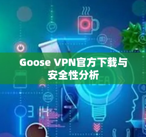 Goose VPN官方下载与安全性分析