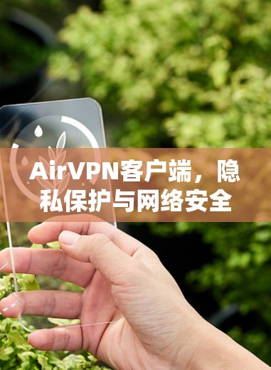 AirVPN客户端,隐私保护与网络安全的解决方案 AirVPN客户端,隐私保护与网络安全的解决方案