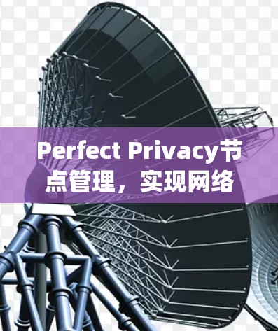 Perfect Privacy节点管理,实现网络安全与性能优化
