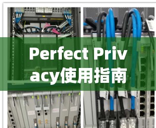 Perfect Privacy使用指南