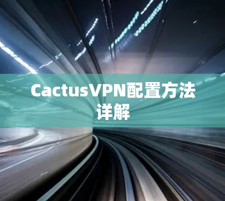 CactusVPN配置方法详解