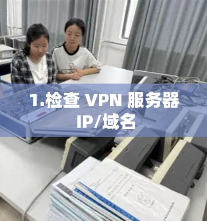 1.检查 VPN 服务器 IP/域名 1.检查 VPN 服务器 IP/域名