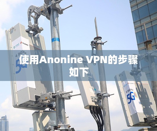 使用Anonine VPN的步骤如下