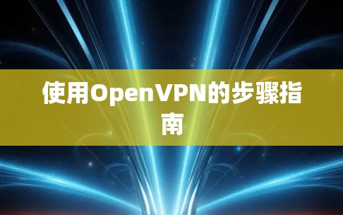 使用OpenVPN的步骤指南