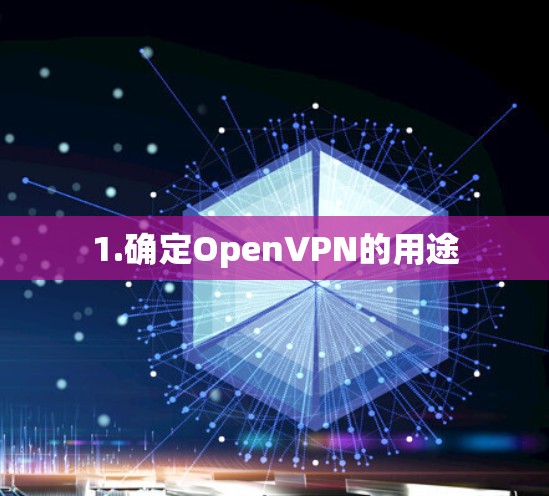 1.确定OpenVPN的用途