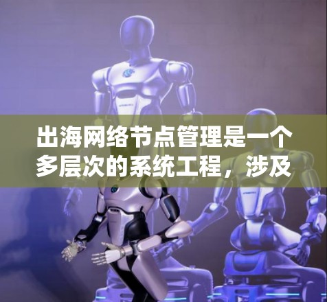 出海网络节点管理是一个多层次的系统工程,涉及从规划到维护的各个环节。以下是对该过程的系统化总结
