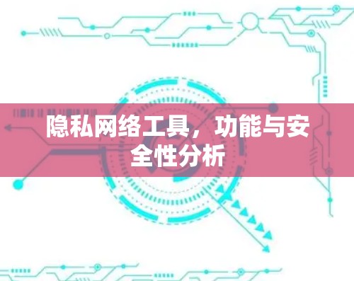 隐私网络工具,功能与安全性分析 隐私网络工具,功能与安全性分析