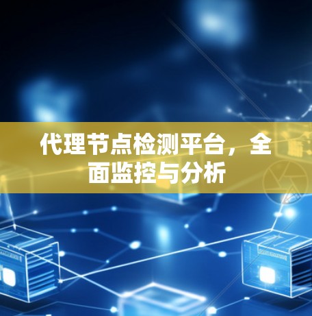 代理节点检测平台,全面监控与分析