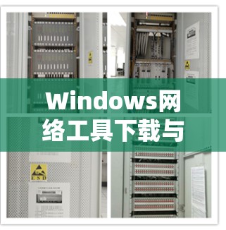 Windows网络工具下载与使用指南