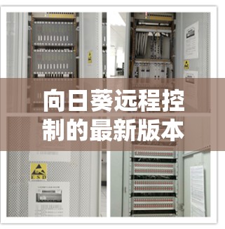 向日葵远程控制的最新版本为 5.9.3，以下是其主要更新和特色