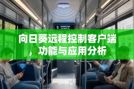 向日葵远程控制客户端，功能与应用分析