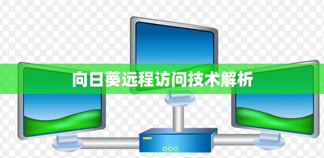 向日葵远程访问技术解析 向日葵远程访问技术解析
