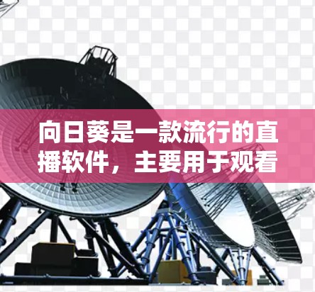 向日葵是一款流行的直播软件，主要用于观看和控制直播内容。以下是一些关于向日葵控制软件的常见操作和功能说明