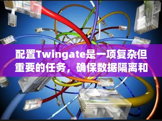 配置Twingate是一项复杂但重要的任务，确保数据隔离和安全。以下是详细的步骤指南