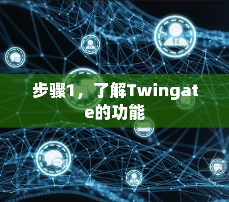 步骤1,了解Twingate的功能