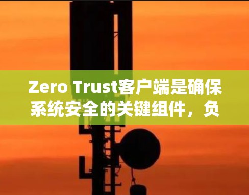 Zero Trust客户端是确保系统安全的关键组件，负责从用户到系统的安全桥梁，通过身份认证、设备认证和访问控制等功能，保护数据不被未经授权访问。以下是对Zero Trust客户端的详细分析