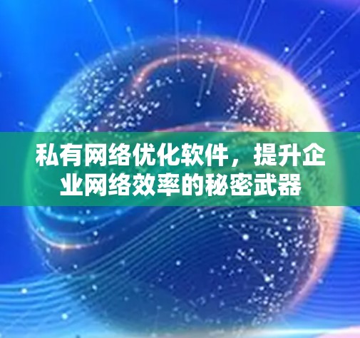 私有网络优化软件,提升企业网络效率的秘密武器