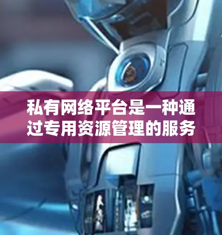 私有网络平台是一种通过专用资源管理的服务，类似于私有云，提供高度的定制化和控制。以下是对私有网络平台的详细分析