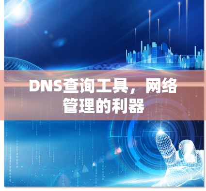 DNS查询工具,网络管理的利器