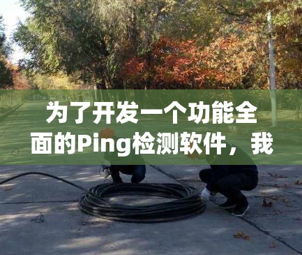 为了开发一个功能全面的Ping检测软件，我们可以按照以下步骤进行规划和实现