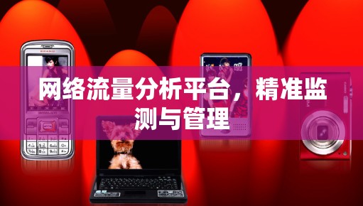 网络流量分析平台，精准监测与管理