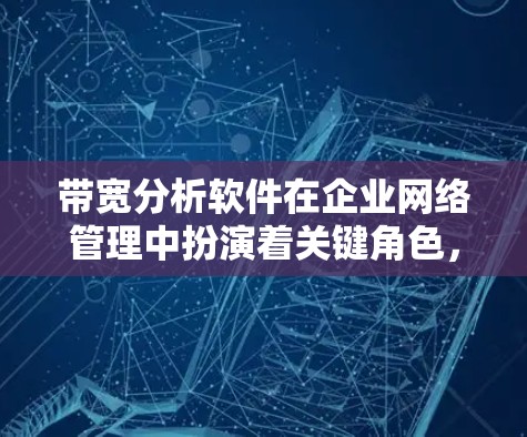 带宽分析软件在企业网络管理中扮演着关键角色，帮助监控和优化网络性能。以下是对该软件的详细分析